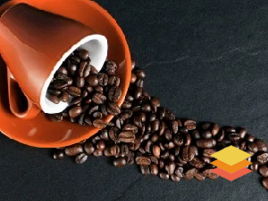 Well furnished Coffe Shop 